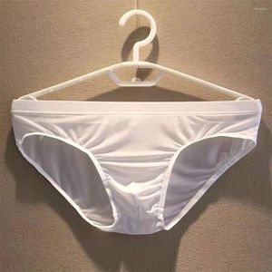Onderbroek mannen slipjes mesh u convex ondergoed Zie door bikini korte g-string slip homme korte lingerie shorts