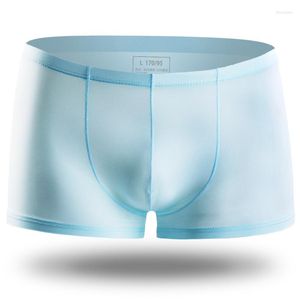 Sous-vêtements hommes sans couture culottes sous-vêtements de marque boxeurs Transparent homme Boxer Sexy hommes Pack respirant solide mâle long