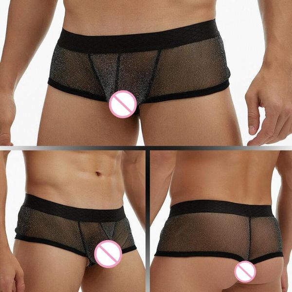 Sous-vêtements hommes sexy lingerie porno transparent maille brillante taille basse mini boxeurs mâle gay sissy culotte perspective vêtements exotiquesunderp