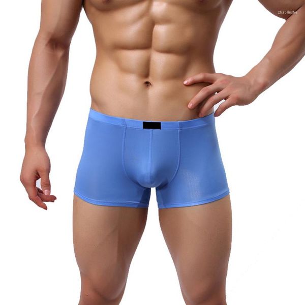 Calzoncillos de lencería Sexy para hombre, calzoncillos Boxer transparentes finos de seda, fetiche, porno Gay, bragas de talla grande XXXL