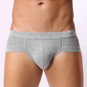 Slips Lingerie Sexy pour hommes Strings Sous-vêtements Doux Modal U-front Pouch Briefs Hommes Triangle