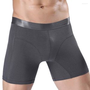 Caleçon hommes Sexy Long Boxer sous-vêtements hommes coton Boxershorts course mâle résistant à l'usure cinq points culotte homme sans couture