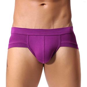 Sous-vêtements de couleur unie pour hommes Culotte taille basse en forme de U Vêtements authentiques Boxers Molasses Mens Comfy