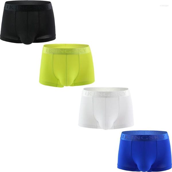 Sous-caisse Sporty Boxer Underwear Souching Pouch Low Rise Shorts Sexy Bulge Under Panties