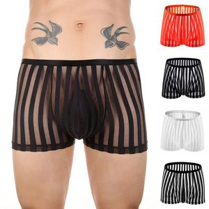 Sous-vêtements pour hommes, sous-vêtements sexy à rayures, transparents, boxers en maille respirante, culottes