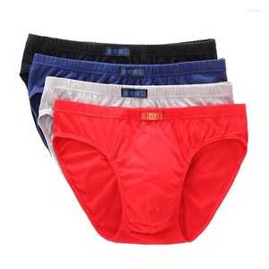 Caleçon homme Triangle sous-vêtement taille haute vieil homme Short moyen et âge coton pantalon tête ample grand slip