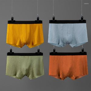 Boxer sous-vêtements pour hommes, respirant et confortable, grande taille, Simple, conception convexe en U, couleur unie, entrejambe en coton, short pour jeunes