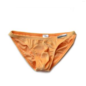 Caleçon Homme Sous-Vêtements Polyester Taille Basse Sexy Polaire Formelle Shorts Affaires Couleur Unie Culottes Chaudes