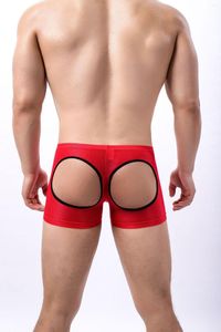 Caleçons sous-vêtements pour hommes couleur unie fesse exposée Sexy maille respirant U convexe ouverture Boxer Design