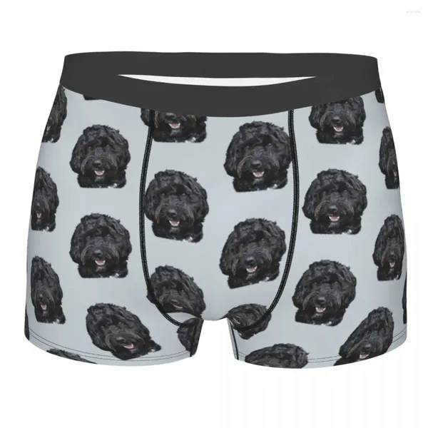 Sous-vêtements hommes noir mignon caniche sous-vêtements drôle Boxer Shorts culotte mâle Polyester