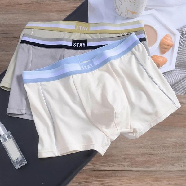 Caleçons pour hommes, Boxer Sexy à grande poche, culotte convexe en U, short ample et solide, sous-vêtements Super doux pour la peau, malles décontractées