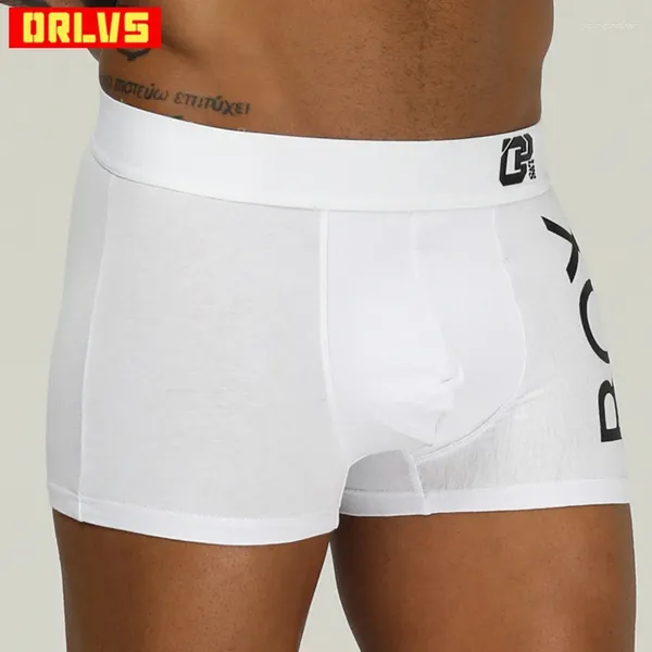 Men de sous-pants Men Boxer Sexy Gay Underwear Shorts transparents Pantalons masculins Boxershorts Hombre Cueca Tanga Mesh Quick Dry