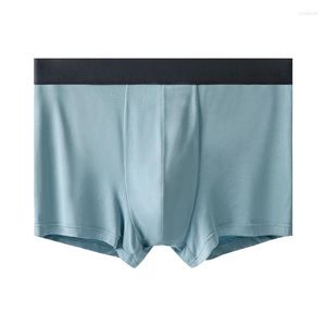 Caleçons Hommes Boxer Shorts 60S Modal Homme Sous-Vêtements Grande Taille Doux Hommes Culottes Hommes Slips Sexy Boxers 3XL