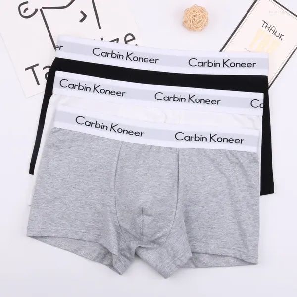 Caleçons hommes Boxer Shorts lettre impression hommes sous-vêtements respirant Boxershorts Sexy homme mâle culottes flexibles coton slips