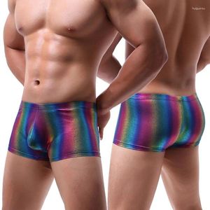 Sous-vêtements hommes Boxer Shorts taille basse arc-en-ciel imprimé sous-vêtements respirants Clubwear mâle Bugle pochette Sexy Cueca doux Gay culotte