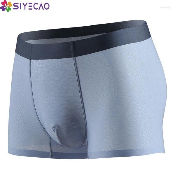 Calzoncillos caladeros shorts sexy seda seda de seda bragas masculina talla grande cueca masculina hombre slips man pene