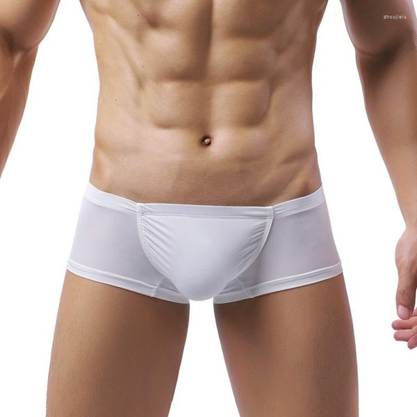 Sous-vêtements hommes Boxer Shorts sous-vêtements sexy gay pénis pochette en nylon mince taille basse respirant culotte masculine