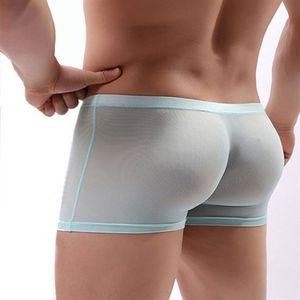 Caleçons hommes Boxer Shorts sous-vêtements maille transparente culotte érotique voir à travers Slip Homme Onderbroek Mannen cueca transparente 261h