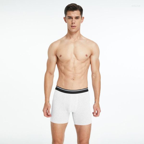 Calzoncillos Boxer para hombre, ropa interior, pantalones cortos, Boxers transpirables de algodón para hombre, bragas sexis con bolsa de calidad de marca