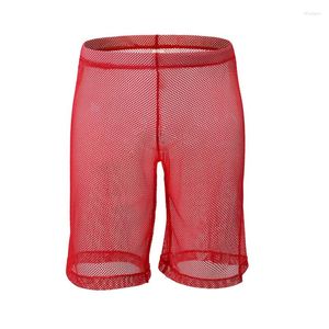 Onderbroek mannen boksers shorts sexy gay ondergoed transparant mesh slipje man solide ademende u convex pouch lange been cueca s-xl