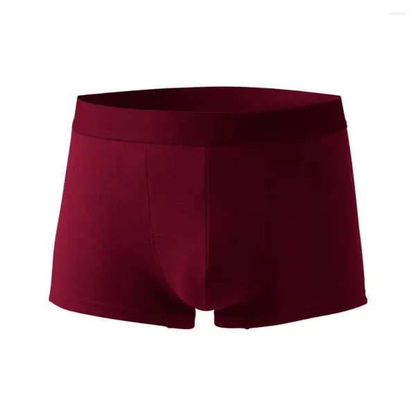 Caleçon Homme Boxers U Convexe Respirant Élastique Mince Lâche Garder Au Chaud Minceur Antidérapant Hiver Sous-Vêtement Thermique Laine Homme