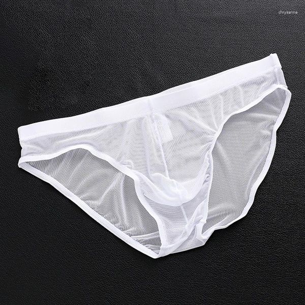 Sous-vêtements pour hommes, sous-vêtements Sexy en filet de Tulle, culotte transparente sans trace, élastique, doux et solide, Lingerie avec pochette convexe en U