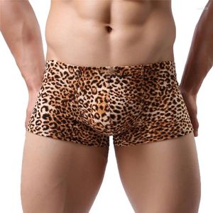 Men de sous-pants Men Briefs sous-vêtements Leopard Imprimé sexy respirant bref short pour hommes cueca mâle culotte basse taille
