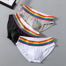 Men de sous-pants hommes colorés arc-en-ciel des hommes avec des propriétés anti-septiques U Conception convexe pour des sous-vêtements sportifs confortables