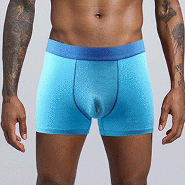 Calzoncillos Hombres Ropa interior de algodón Pantalones cortos sexy U Bragas convexas Confort Deportes Pene Bolsa grande Bulge Boxershorts Masculino Tallas grandes Boxers planos