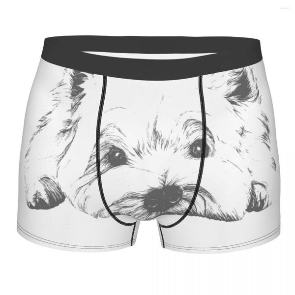 Sous-vêtements hommes mignon Mini Yorkshire Terrier sous-vêtements chien sexy Boxer slips culottes Homme doux S-XXL