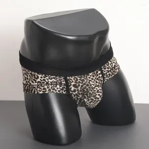 Sous-vêtements hommes élastique léopard imprimé U convexe slips sous-vêtements mâle respirant Sissy Tanga Hombre culottes