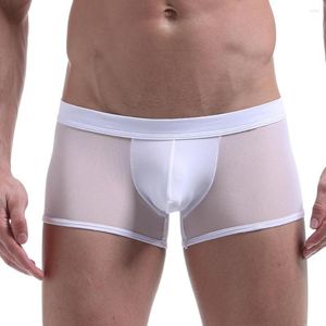 Onderbroek mannen gay penis pouch boksers sexy ondergoed lingerie doorzichtige slijsten pure mesh slipje homme slip transparante jockstrap string