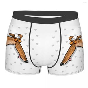 Caleçon Hommes Greyhound Brindle Derp Boxer Culotte Polyester Sous-Vêtements Chien Animaux Chiens Homme Sexy S-XXL