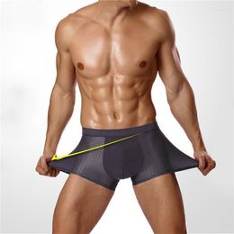 Cuecas masculinas de seda gelo boxers malha calcinha moda verão legal homem roupa interior respirável masculino esportes boxershorts tamanho grande