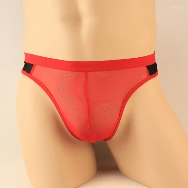 Sous-sliant des hommes-knicker ultra-minces de gaze transparent T-back sexy lingerie tentation serrée 2033
