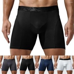 Calzoncillos hombres alargan boxer pantalones cortos sin costuras bulto bolsa calzoncillos ropa interior entrenamiento fitness transpirable cómodo xl - 4xl 2024
