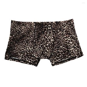 Sous-vêtements pour hommes imprimé léopard, sous-vêtements sexy, pochette en U, Boxer, culotte, Lingerie érotique, vêtements d'intérieur