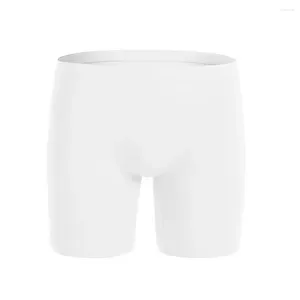 Men de sous-pants Men Long Leg Boxer Brief Ice Silk Shorts quotidien de soie d'automne (nylon) Brand printemps de haute qualité hiver d'été