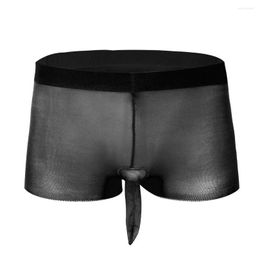 Onderbroek mannen panty open gesloten schede ondergoed ondergoed kousen sexy heren naadloze tra dunne boxers briefs kous druppel leveringsapparaat dhqbd