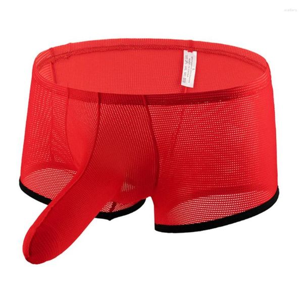 Sous-vêtements hommes gaine de pénis Boxer tronc respirant maille été éléphant nez culotte sous-vêtements doux slips fins