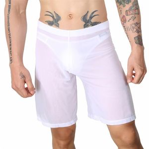 Unterhosen Männer Reine Farbe Dessous Elastischer Bund Boxershorts Durchsichtige Mesh-Freizeitshorts Bequeme Schlafende kurze Hosen Unterwäsche