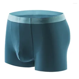 Sous-vêtements pour hommes 100S Modal Soft Sous-vêtements Boxershort Fonction de soins du scrotum Santé des jeunes Séoul Séparation convexe Boxer