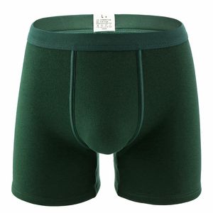 Sous-vêtements pour hommes Ajouter des sous-vêtements en velours Hiver Coton épais Garder au chaud Shorts Plus longues jambes Boxers Pantalons Boxershorts Hommes Slips 230515