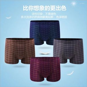 Onderbroeken Heren Box-ondergoed Katoenen slipje Middelgrote rooster Dagelijks Mid-taille Slips Ademend 4 kleuren ondergoed