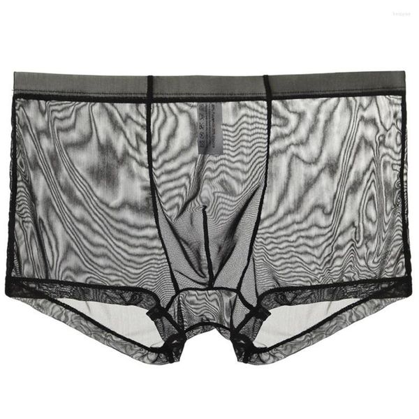 Boxer en maille pour homme, sous-vêtement fin et Transparent, short Sexy, Lingerie confortable