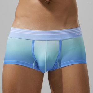Sous-pants Boîtres de boxeur masculin Soft Homme Sexy Underwear Sous-fulgur