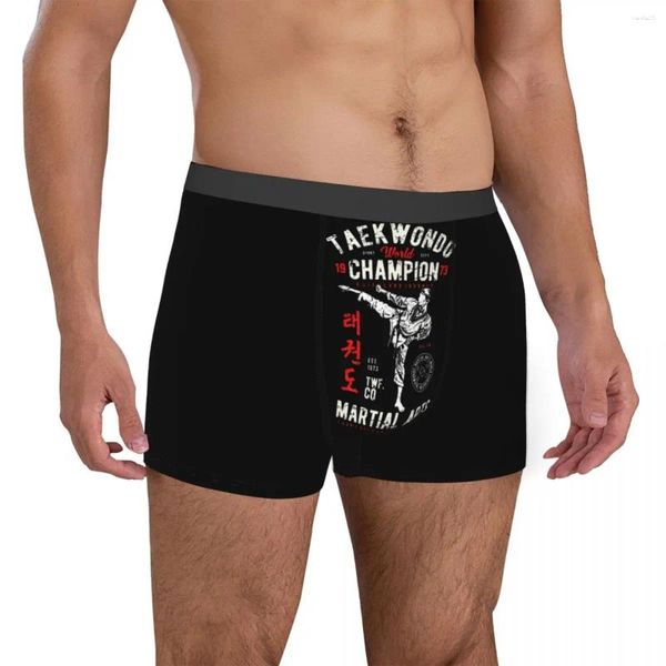 Caleçons Boxer pour hommes Taekwondo Arts martiaux Coussin à vendre Sous-vêtements exotiques Créatif Drôle Nouveauté Printemps Wearable