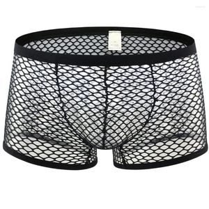 Sous-vêtements Boxer pour hommes Résille Transparent Homme Sexy Nylon Boxers Sous-vêtements Mâle Gay Funny Mesh Clubwear Lingerie Érotique YL