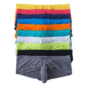 Calzoncillos Bóxer para hombre, pantalones cortos, tangas de tronco de elefante, lencería, ropa interior Sexy, Bikini de Modal elástico transpirable, bragas para hombre