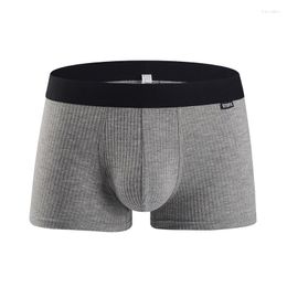 Caleçons pour hommes Boxers Couleur unie Taille moyenne Fil Modal Style mince Jeunesse Respirant U Convex Jockstrap Culottes confortables